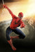 Movie Masterpiece Spider-Man 3 SPIDER-MAN 1/6 Action Figure Hot Toys NEW Japan_3