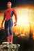 Movie Masterpiece Spider-Man 3 SPIDER-MAN 1/6 Action Figure Hot Toys NEW Japan_7