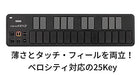 Korg USD 25 Key MIDI Keyboard Nanokey 2 Black NEW from Japan_2