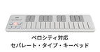 Korg nanoKEY 2 BK USB MIDI Keyboard Studio Mobile DTM Wireless NEW from Japan_3