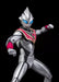 ULTRA-ACT Ultraman Tiga EVIL TIGA Action Figure BANDAI TAMASHII NATIONS Japan_2