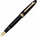 SAILOR PROFIT Standard 21 Fountain Pen 11-1521-120 Extra Fine Black from Japan_1