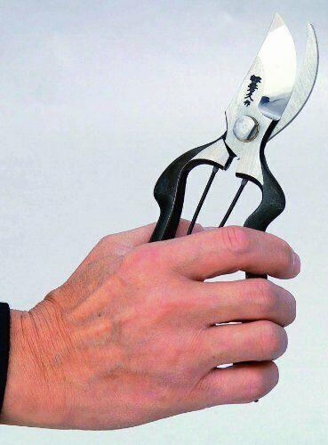 WAKASAYA Pruning shears YP200 Shuzo Hidehisa For profession Scissors NEW_4