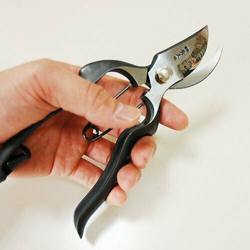 WAKASAYA Pruning shears YP200 Shuzo Hidehisa For profession Scissors NEW_5