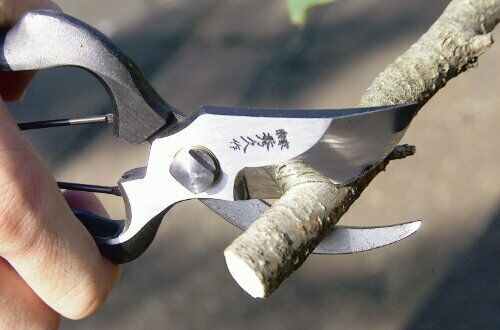WAKASAYA Pruning shears YP200 Shuzo Hidehisa For profession Scissors NEW_6