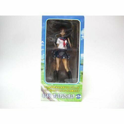 Dora PM Premium Figure Kawashima Minami all one if (japan import) NEW_1