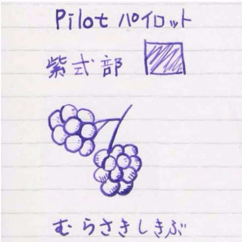 PILOT INK-50-MS iroshizuku Bottle Ink for Fountain Pen murasaki-shikibu 50ml_2