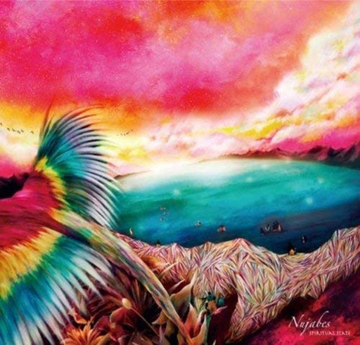 Spiritual State Nujabes CD Standard Edition HPD-13 nujabes' 3rd and last album_1