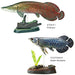 Colorata Real Figure box Set Fossil Fish ancient fish 7 types of 7 figures NEW_4