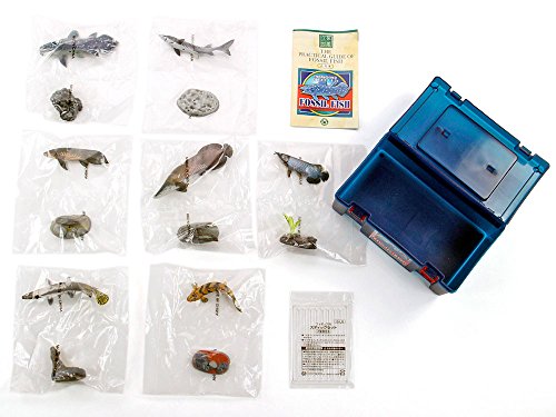 Colorata Real Figure box Set Fossil Fish ancient fish 7 types of 7 figures NEW_8