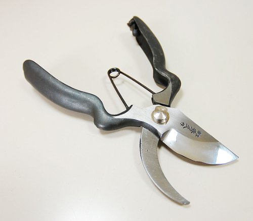 Soke Hidehisa professional for pruning shears BB200Y 200mm Made in Japan NEW_2