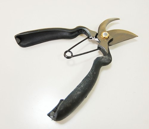 Soke Hidehisa professional for pruning shears BB200Y 200mm Made in Japan NEW_3