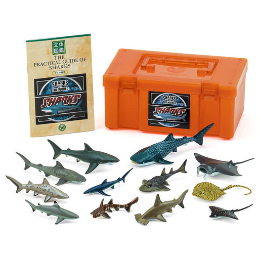 Colorata Real Figure box 975527 Set of 12 kind of Sharks with Box PlayableFigure_1