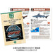 Colorata Real Figure box 975527 Set of 12 kind of Sharks with Box PlayableFigure_2