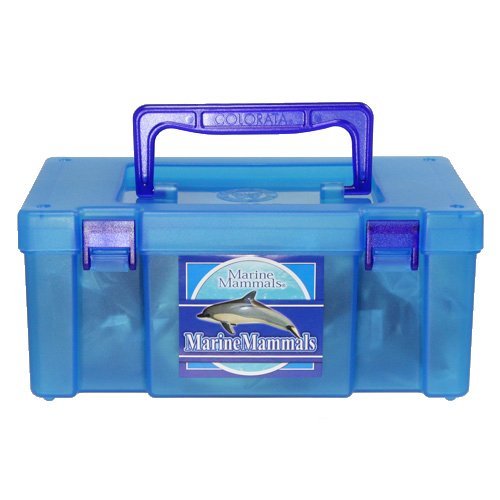 Colorata Real Figure box Set Marin mamaru Figure set of 13 NEW from Japan_7