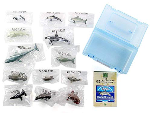 Colorata Real Figure box Set Marin mamaru Figure set of 13 NEW from Japan_8