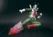 S.H.Figuarts Masked Kamen Rider V3 Action Figure BANDAI TAMASHII NATIONS Japan_7