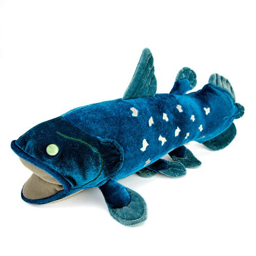 Coelacanth Plush Stuffed Animal Size: M COLORATA NEW from Japan_1