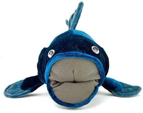 Coelacanth Plush Stuffed Animal Size: M COLORATA NEW from Japan_2