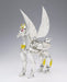 Saint Cloth Myth EX PEGASUS SEIYA NEW BRONZE CLOTH Action Figure BANDAI Japan_4