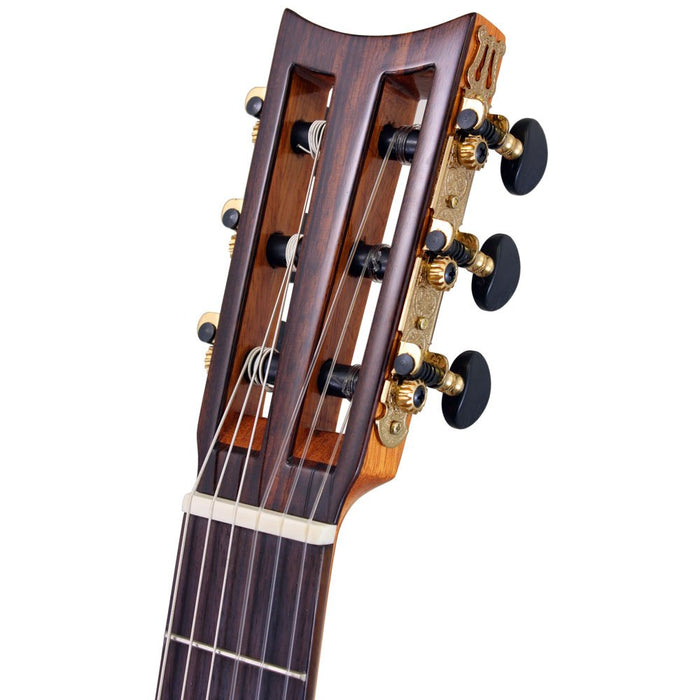 Aria Classical Guitar 19Th Century Style A19C-100N Gold, Natural w/ Hard Case_4