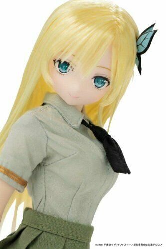 Boku wa Tomodachi ga Sukunai Kashiwazaki Sena (Fashion Doll) 1/6 Pure Neemo NEW_7