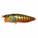 Megabass POPMAX GLX ITO GILL NEW from Japan_1