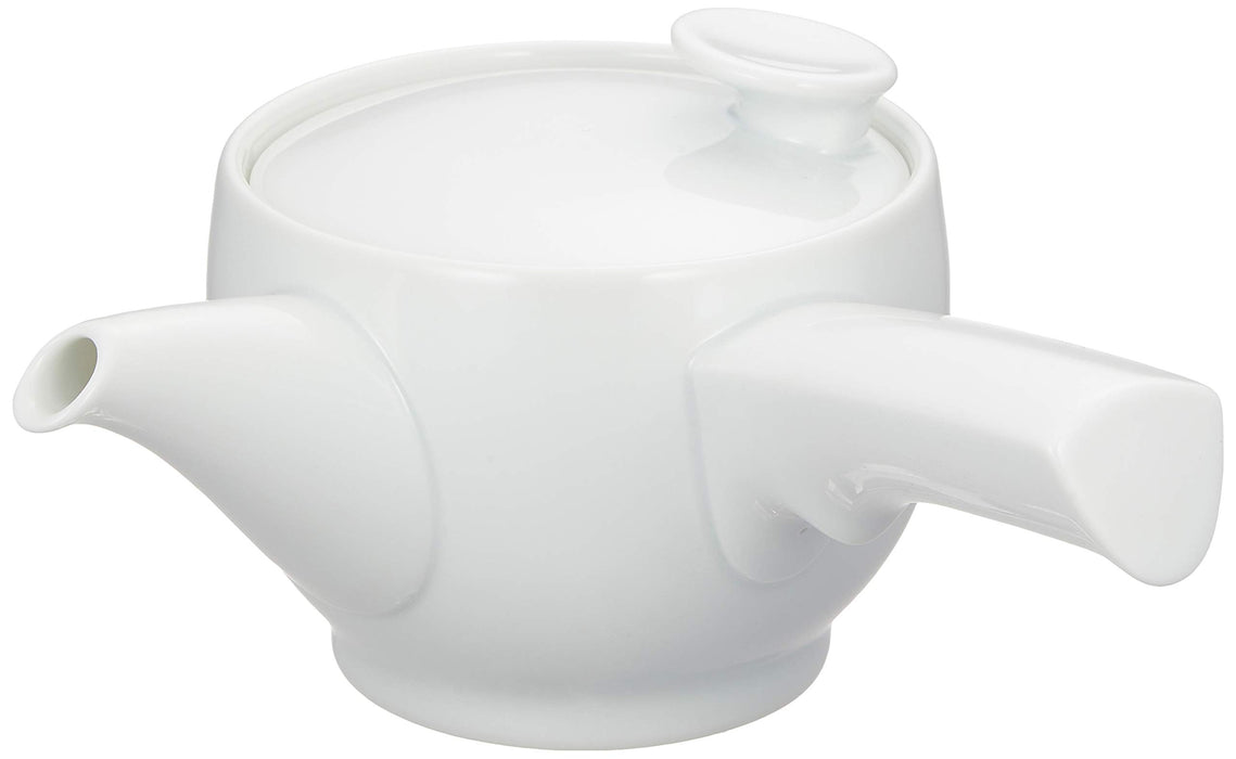 Hakusan Porcelain Teapot 400ml Hasamiyaki SAWA Made in Japan for Japanese Tea_1