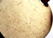 Atelier Maru Cork Asalato Set of 2 shake sound 50mm Yellow ‎CLKAS_50 Instrument_3
