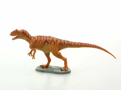 Dinosaur PVC Figure Allosaurus FDW-006 W3.5 x H8 x L21 cm NEW from Japan_2