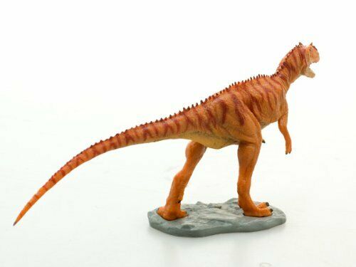 Dinosaur PVC Figure Allosaurus FDW-006 W3.5 x H8 x L21 cm NEW from Japan_3