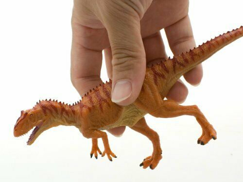 Dinosaur PVC Figure Allosaurus FDW-006 W3.5 x H8 x L21 cm NEW from Japan_4