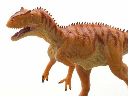 Dinosaur PVC Figure Allosaurus FDW-006 W3.5 x H8 x L21 cm NEW from Japan_5