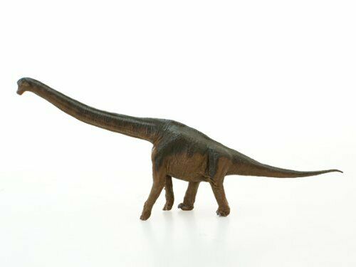 Favorite Dinosaur Soft Model Series Figure Brachiosaurus FDW-008 NEW from Japan_2
