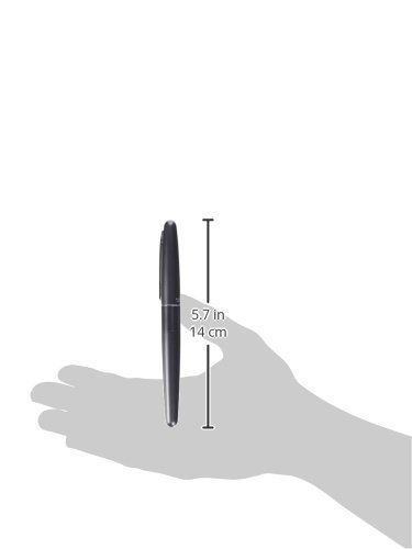 PILOT Fountain Pen FCO-3SR-MGY-M COCOON Metallic Gray Medium from Japan_2