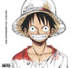 ONE PIECE 15th Anniversary BEST ALBUM Limited Edition CD AVCA-62205 Anime Song_1