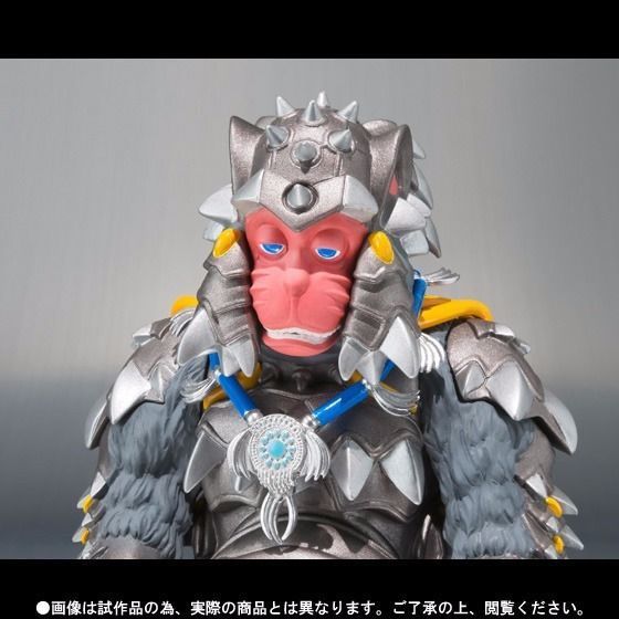 S.H.Figuarts Kaizoku Sentai Gokaiger VASCO & SALLY Action Figure BANDAI Japan_5