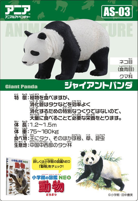 Takara Tomy Ania AS-03 Giant Panda Action Figure 487937 Real Design Animal NEW_5