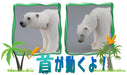 Takara Tomy Ania AS-10 Polar Bear Action Figure 9.6Lx6.8Wx5.2Hcm ‎488002 NEW_3