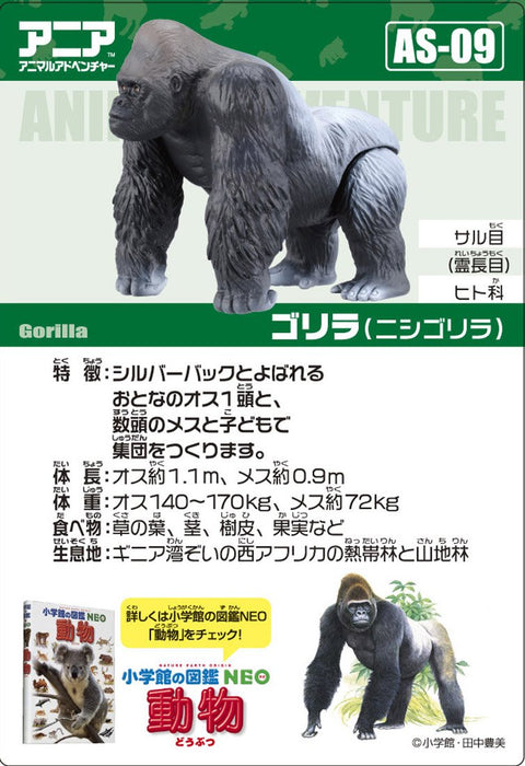 Takara Tomy Ania AS-09 Gorilla Action Figure ‎487999 Real Design Animal Figure_5