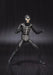 S.H.Figuarts Masked Kamen Rider SHOCKER COMBATMAN Action Figure BANDAI Japan_4