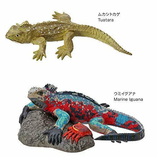 COLORATA Real Figure ENDANGERED SPECIES Reptiles BOX NEW from Japan_5