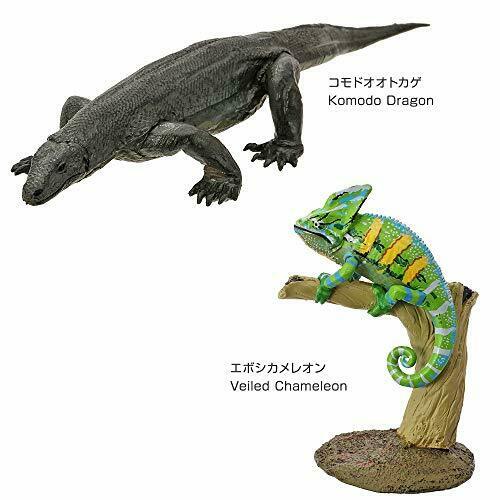 COLORATA Real Figure ENDANGERED SPECIES Reptiles BOX NEW from Japan_6