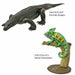 COLORATA Real Figure ENDANGERED SPECIES Reptiles BOX NEW from Japan_6