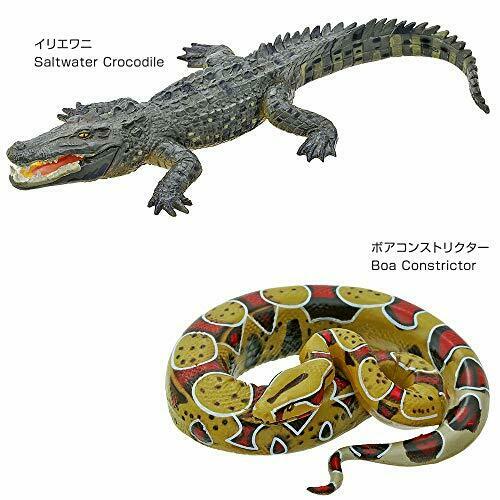 COLORATA Real Figure ENDANGERED SPECIES Reptiles BOX NEW from Japan_7