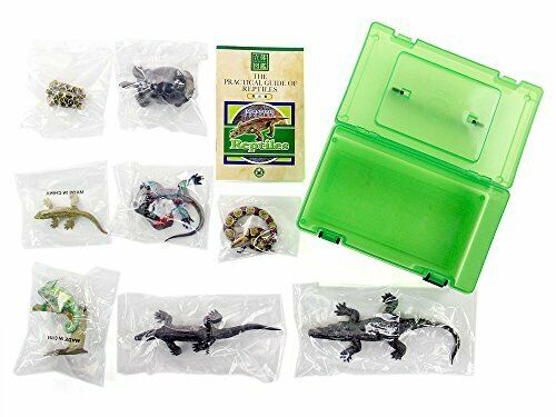 COLORATA Real Figure ENDANGERED SPECIES Reptiles BOX NEW from Japan_8