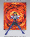 Saint Cloth Myth EX EFFECT PARTS Set PHOENIX IKKI & VIRGO SHAKA BANDAI Japan_3