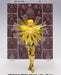 Saint Cloth Myth EX EFFECT PARTS Set PHOENIX IKKI & VIRGO SHAKA BANDAI Japan_5