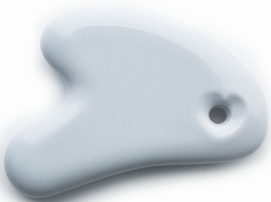 COGIT Aquamarine Cassa Lift Plate Porvelain Loved Face Anti-Aging 20223-1 NEW_2