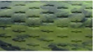 IOMIC Golf Grip Sticky Army with Back Line Army Green Art Grip Series M60 NEW_2